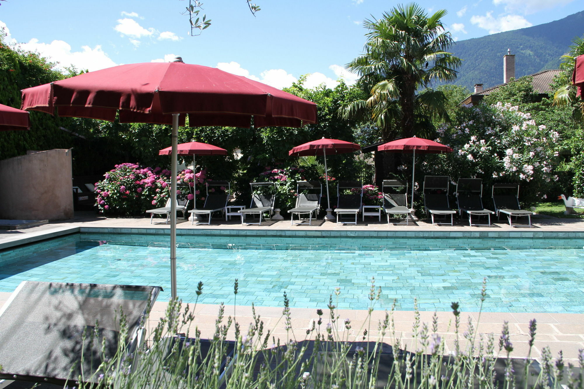 Gartenresidence Zea Curtis Appart hôtel Merano